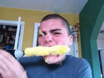 Corn Gif Find Share On Giphy