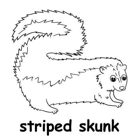 Kids Line Illustration Coloring Striped Skunk Animal Outline 15630382