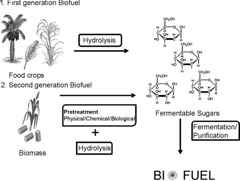 Steps Involved In The Synthesis Of The First And Second Generation