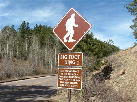 Most Popular Areas For Bigfoot Sightings In Colorado