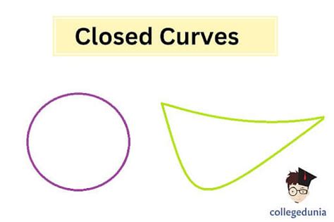 Curve Meaning Types And Examples