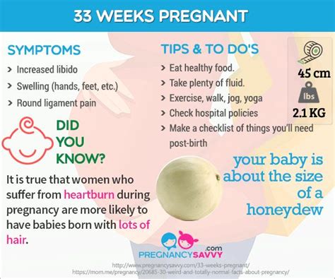 32 Best Pregnancy Weeks Images On Pinterest