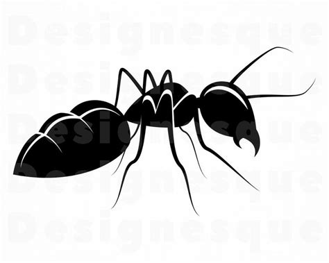 Ant Clipart Pictures 20 Free Cliparts Download Images On Clipground 2021