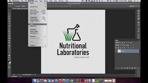 How To Quickly Convert A Color Logo Transparent Png To One Color In