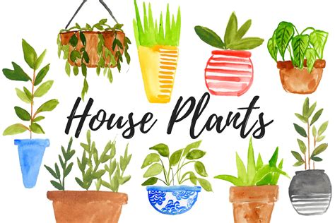 Watercolor House Plant Clipart Pre Designed Photoshop Graphics