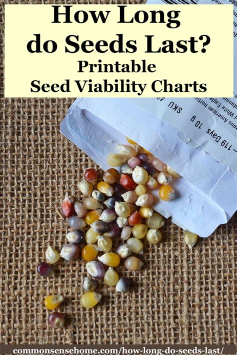 How Long Do Seeds Last W Printable Seed Viability Charts