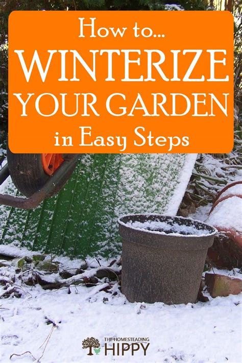 How To Winterize Your Garden In A Few Easy Steps The Homesteading Hippy