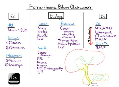 Dx Schema Extra Hepatic Biliary Obstruction The Clinical Problem