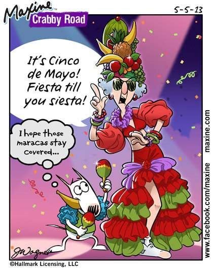 Bahahaha Luv Maxine You Go Girl Cinco De Mayo Maxine Holiday Humor