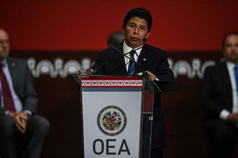 The Oas Convenes An Extraordinary Session To Discuss The Situation In