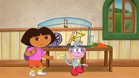 Watch Dora The Explorer Season 2 Episode 22 School Pet Full Show On