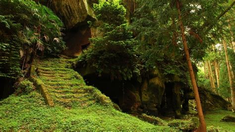 Landscapes Nature Trees Forest Grass Ancient Caves 1920x1080 Wallpaper