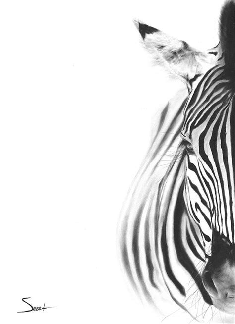 Zebra Oil Painting In Black And White Art Print By Eric Sweet Etsy