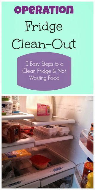 Operation Fridge Clean Out 5 Easy Steps To A Clean Fridge And Not