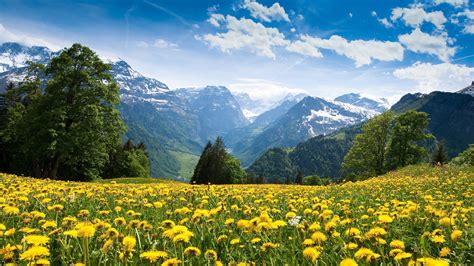 Beautiful Spring Landscape Wallpaper Wide With High