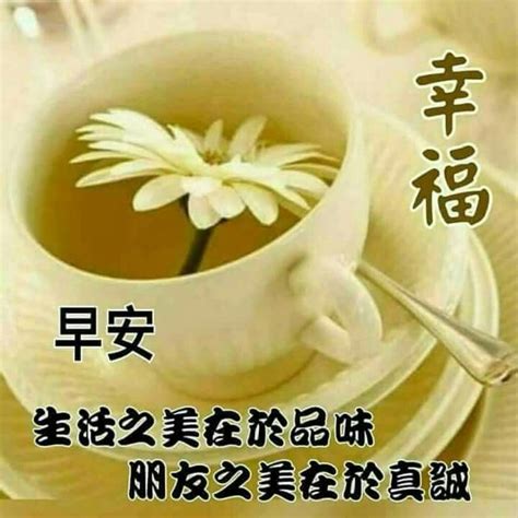 886 Best Good Morning Wishes In Chinese Images On Pinterest