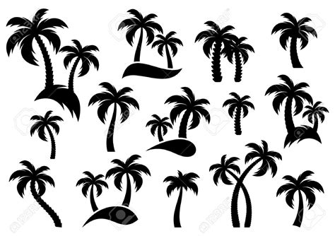 Ver más ideas sobre palmas, jardines, tipos de palmas. Pin on Trajes de baño