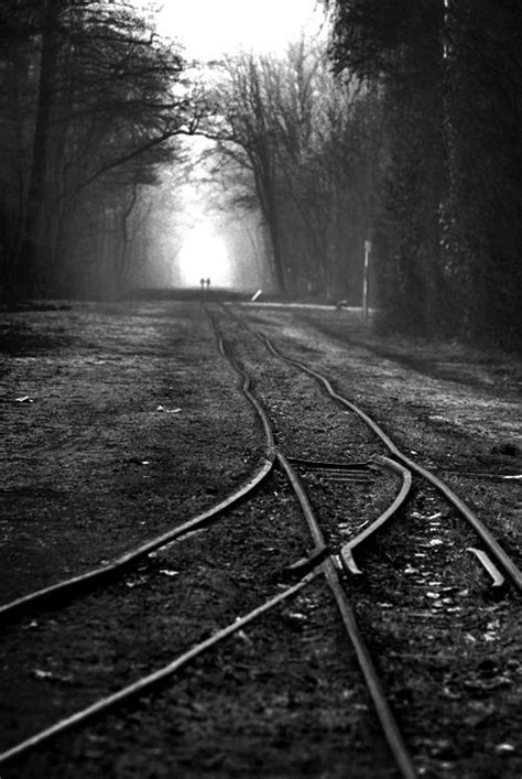 Creepy Tracks Train Tracks Railroad Tracks Abandoned Train