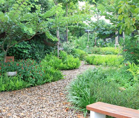 Therapeutic Landscape Design Livegreenblog