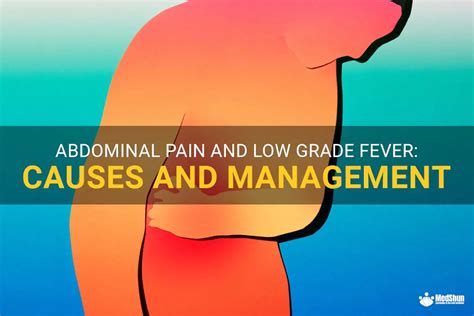 Abdominal Pain And Low Grade Fever Causes And Management Medshun
