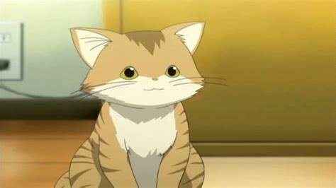 50 Best Ideas For Coloring Cat Anime Characters