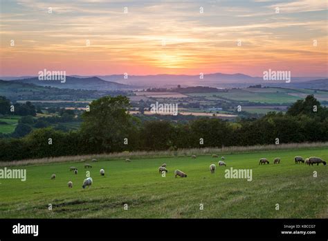 Cotswold Landscape And Distant Malvern Hills At Sunset Farmcote