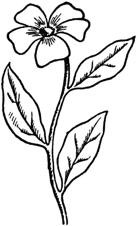 Just click on button print at the right for printing. Flower drawings easy |coloring pages for adults, coloring ...