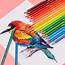 150 Color Professional Watercolor Pencil Set Art Supplies For Coloring 