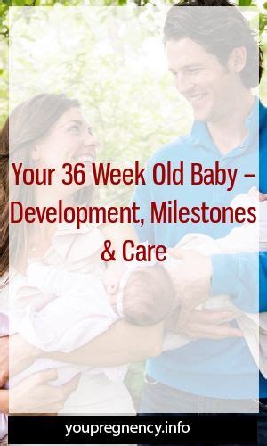 Your 36 Week Old Baby Development Milestones And Care Premature Baby
