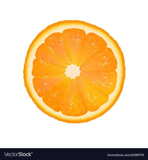 Orange Slice With White Background Royalty Free Vector Image