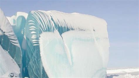 Stunning Photos Of Ice Waves Captured In Antarctica Waves Frozen