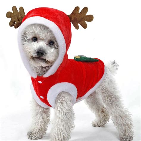 There are no featured reviews for because the movie has not released yet (). Aliexpress.com : Buy GANYUE Christmas Dog Clothes Coat Clothing Santa Costume Pet Dog Christmas ...