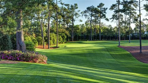 The Beauty Of The Par 3 Course