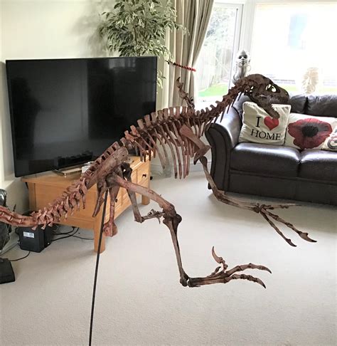 Velociraptor Dinosaur Mounted Skeleton Fossil Replica 6 Ft 2m Long