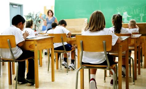 El Cermi Reclama Modificar La Lomce Para Que Asuma La Educación