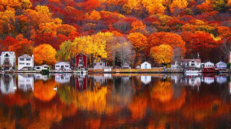배경 화면 가을 호수 나무 주택 마을 아름다운 풍경 1920x1200 Hd 그림 이미지