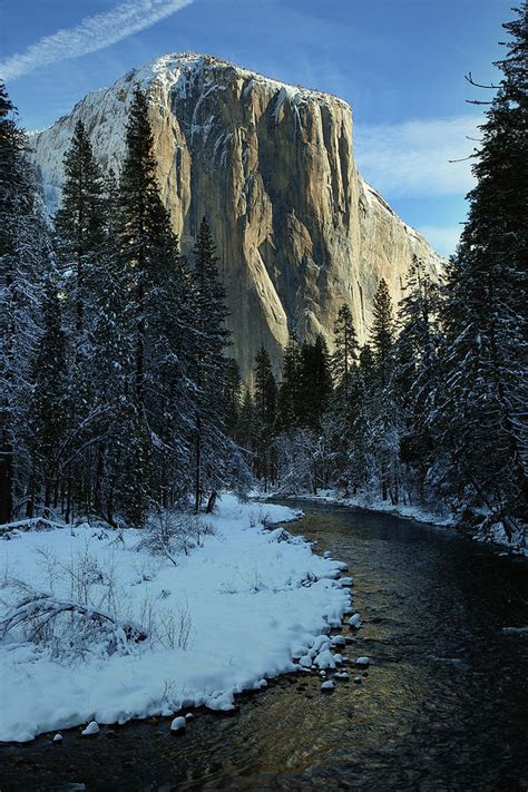 El Capitan Overlooks Merced River In Yosemite National Park Photograph