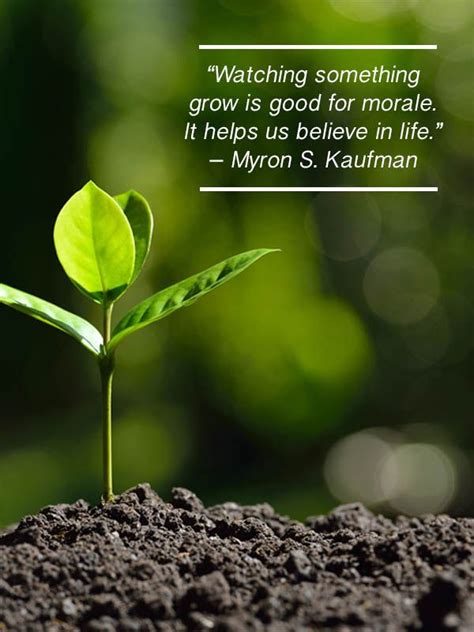 Growing Plants Quotes Shortquotescc