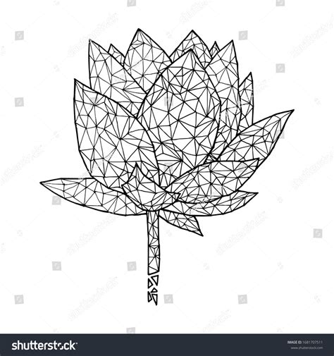 Low Poly Line Lotus Flower Hand Stock Vector Royalty Free 1681707511