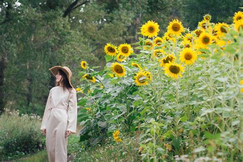 Young Girl In A Hat On A Field Of Sunflowers Stock Image Image Of