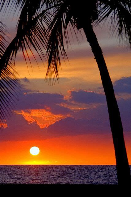 Hawaii Hawaiian Sunset Beautiful Landscapes Sunset