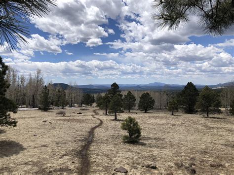 Beautiful weather in Flagstaff, AZ. : r/bikepacking
