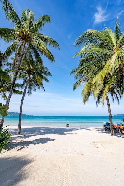 Premium Photo Coconut Palm Trees And Turquoise Sea In Phuket Patong