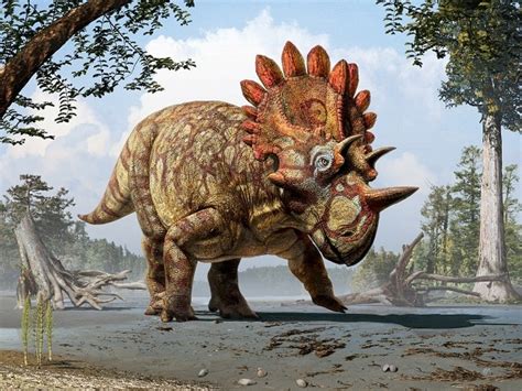 Descubren Nueva Especie De Dinosaurio Con Cuernos La Nación