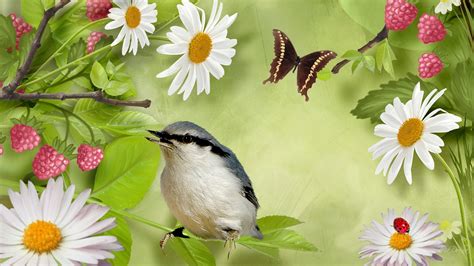 Beautiful Birds And Flowers Hd Wallpaper Hd Latest