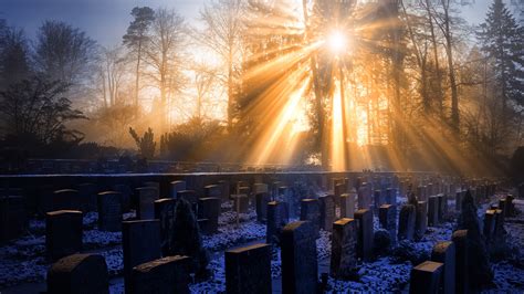 Misty Morning On The Cemetery Full Hd Wallpaper And