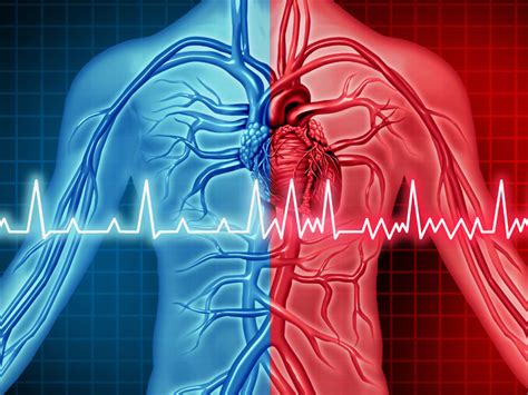 Zaburzenia Rytmu Serca Kredos Sklep Medyczny