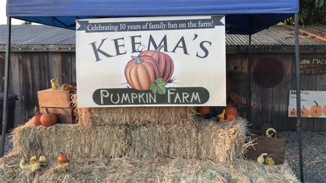 Keemas Pumpkin Farm Youtube