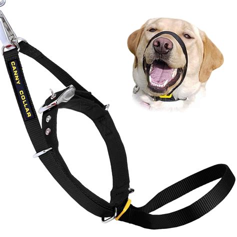 Buy Canny Collar For Dog Training The Kind Safe And Comfortable No