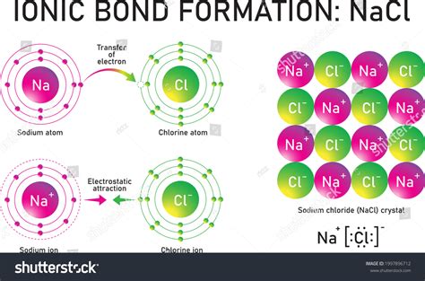 Formation Ionic Bond Sodium Chloride Nacl 27388 Hot Sex Picture